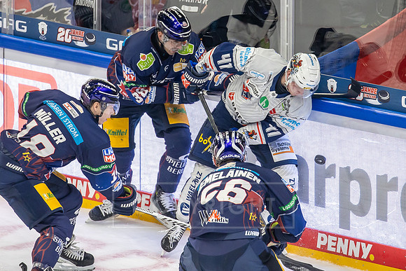 241124_pressefoto-gora_205