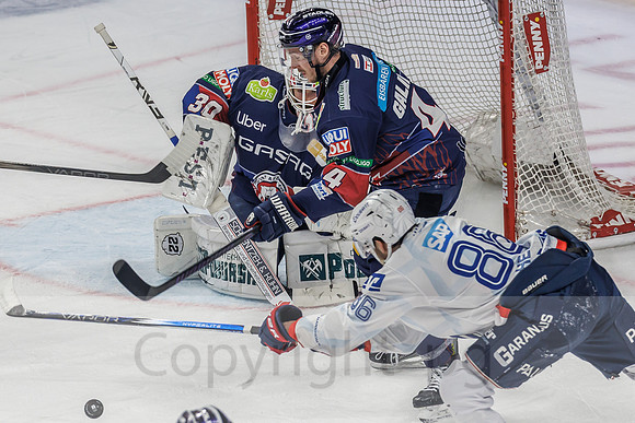 01.04.25_pressefoto-gora_0064