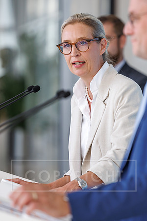 05.07.25_pressefoto-gora_0103