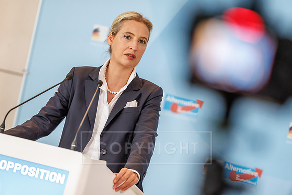 03.06.25_pressefoto-gora_0136