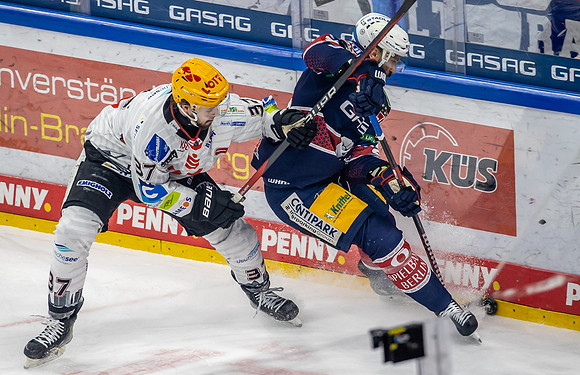 240423_pressefoto-gora_106