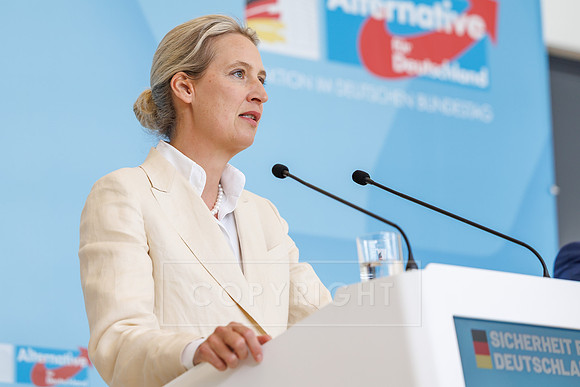 07.07.25_pressefoto-gora_0329