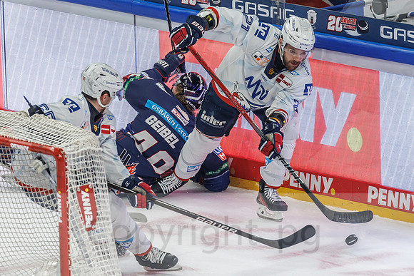01.04.25_pressefoto-gora_0094