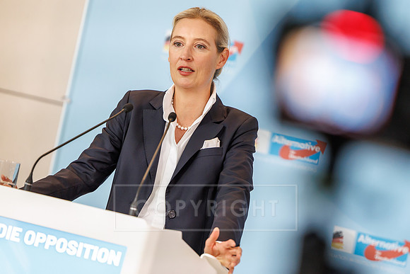 03.06.25_pressefoto-gora_0133