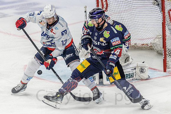 01.04.25_pressefoto-gora_0091