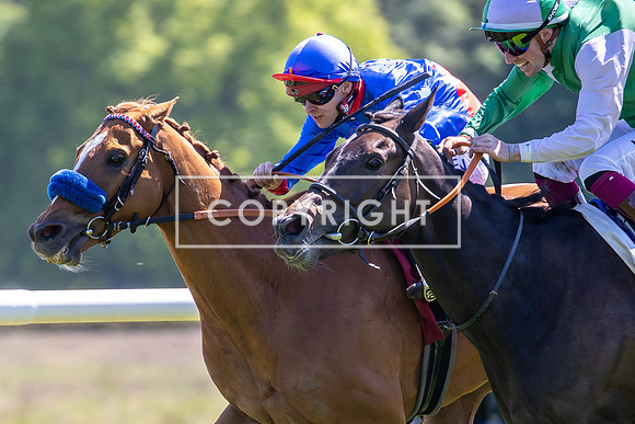 6. Rennen 0132