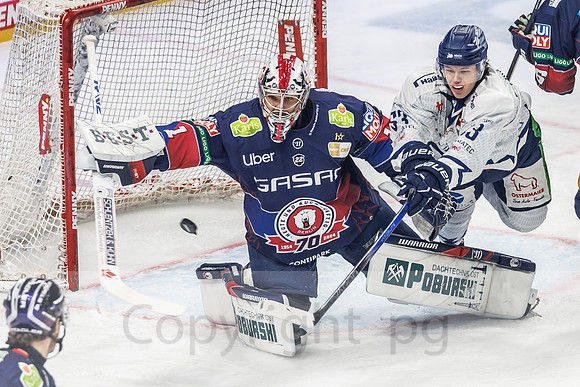 16.02.25_pressefoto-gora_184