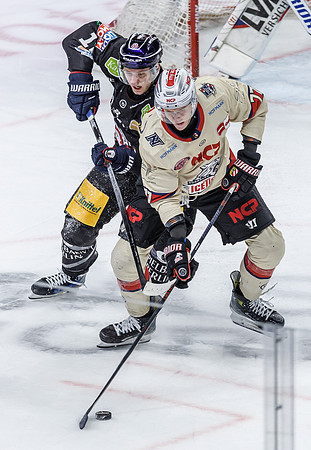 02.02.25_pressefoto-gora_101