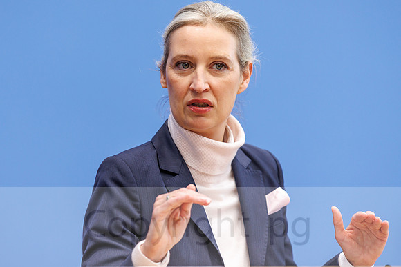 24.02.25_pressefoto-gora_1858