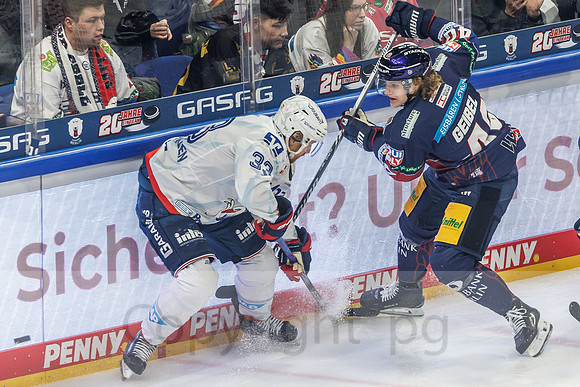 01.04.25_pressefoto-gora_0045