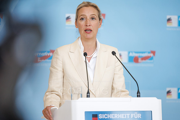 07.07.25_pressefoto-gora_0335