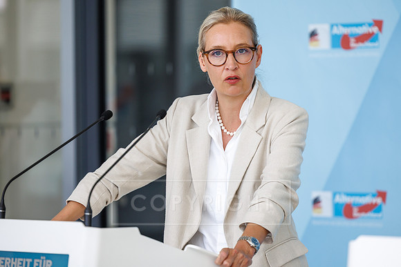 05.07.25_pressefoto-gora_0137
