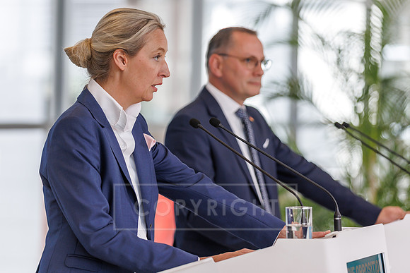 20.05.25_pressefoto-gora_0101