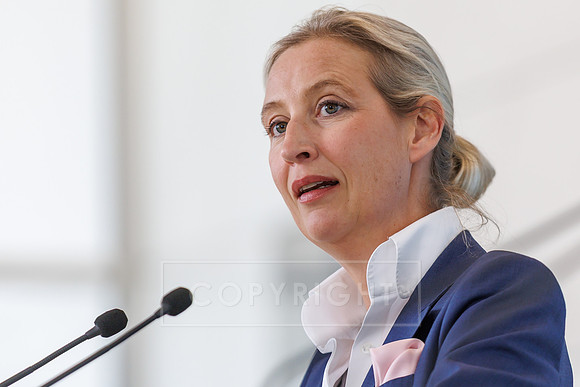 20.05.25_pressefoto-gora_0107