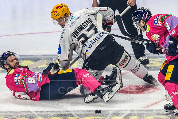 241011_pressefoto-gora_219