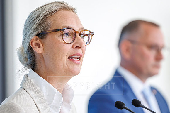 05.07.25_pressefoto-gora_0096