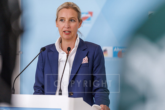 20.05.25_pressefoto-gora_0102