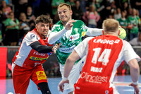 250515_pressefoto-gora_231