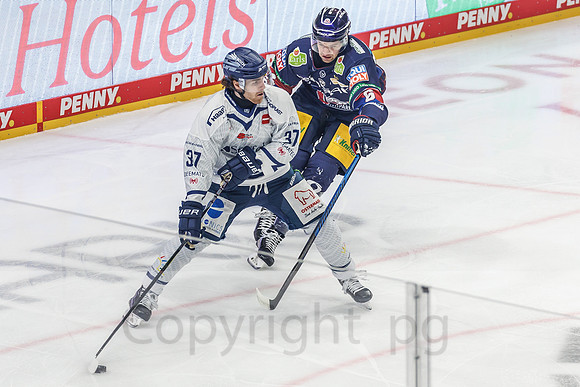 16.02.25_pressefoto-gora_183