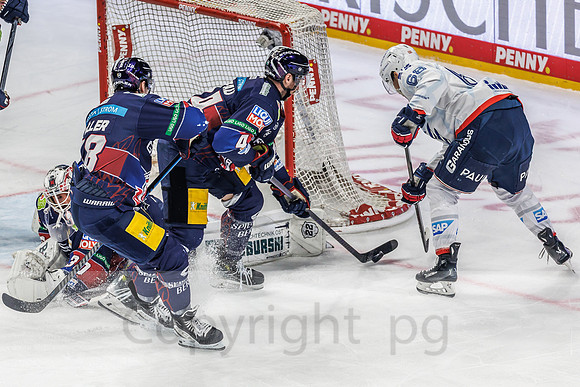01.04.25_pressefoto-gora_0090