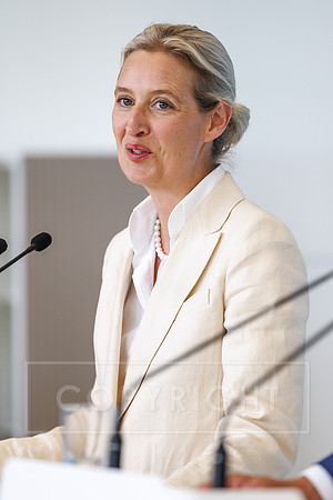 07.07.25_pressefoto-gora_0341